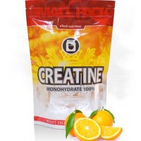 Creatine monohydrate 100% (600г)